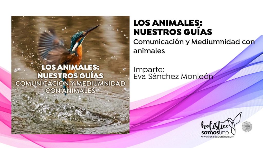 LOS ANIMALES: NUESTROS GUÍAS