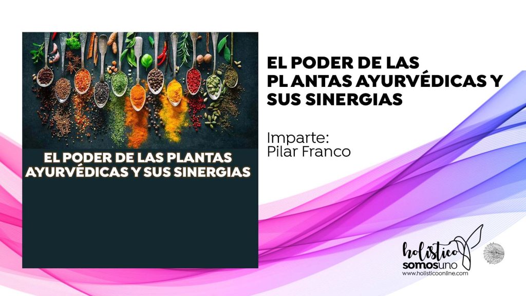 EL PODER DE LAS PLANTAS AYURVÉDICAS Y SUS SINERGIAS