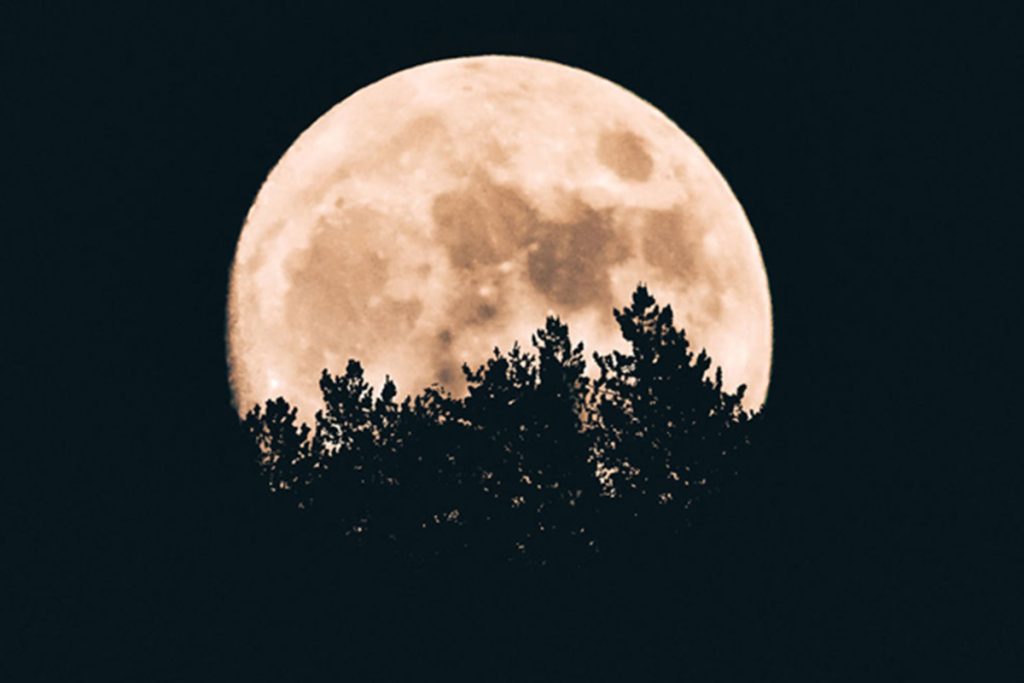 La última Luna Llena del Año