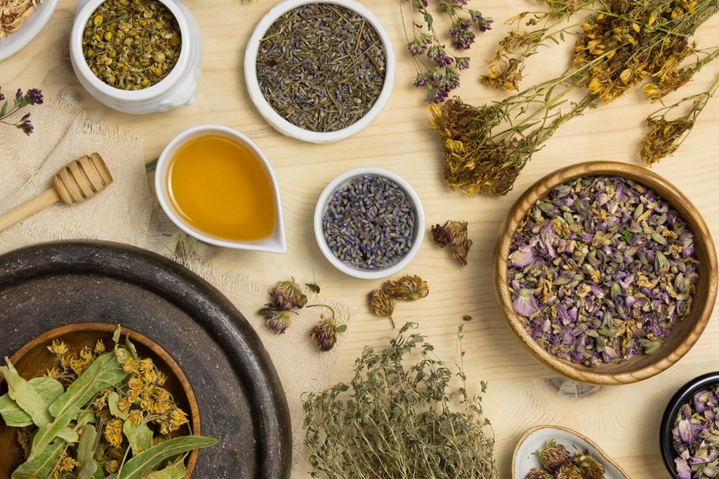 FITOTERAPIA: CÓMO LAS PLANTAS MEDICINALES AYUDAN AL BIENESTAR NATURAL